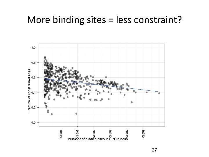 More binding sites = less constraint? 27 More binding sites = less constraint? 27