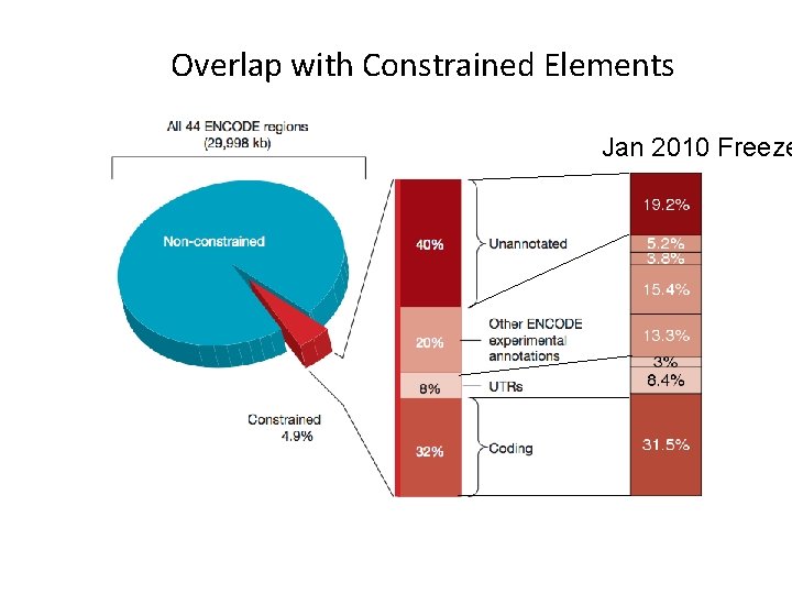 Overlap with Constrained Elements Jan 2010 Freeze Overlap with Constrained Elements Jan 2010 Freeze
