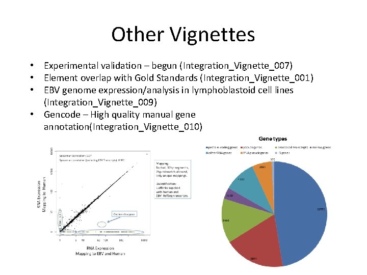 Other Vignettes • Experimental validation – begun (Integration_Vignette_007) • Element overlap with Gold Standards Other Vignettes • Experimental validation – begun (Integration_Vignette_007) • Element overlap with Gold Standards