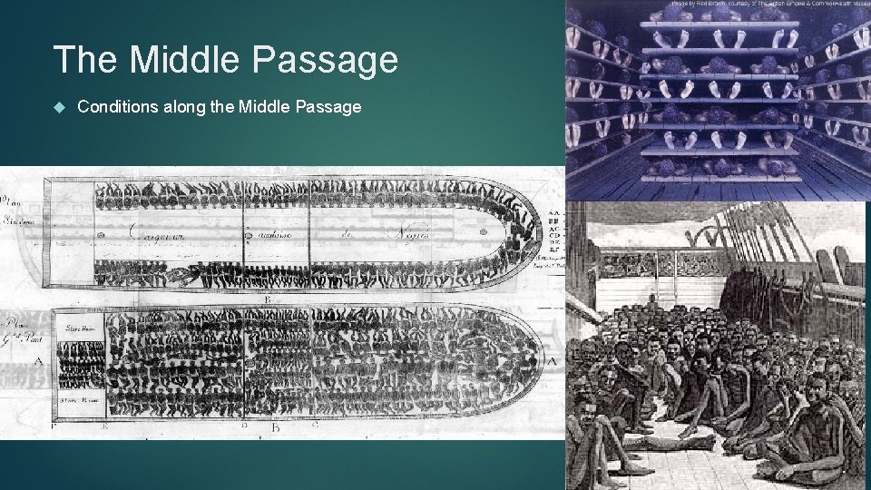 The Middle Passage Conditions along the Middle Passage 