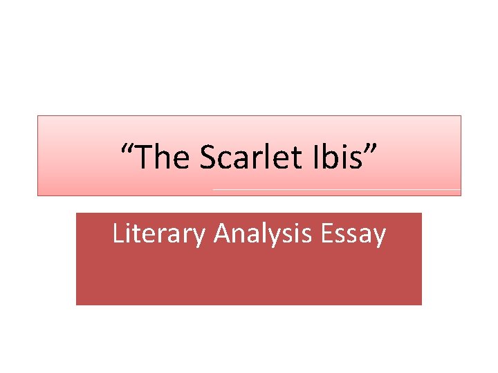 “The Scarlet Ibis” Literary Analysis Essay 