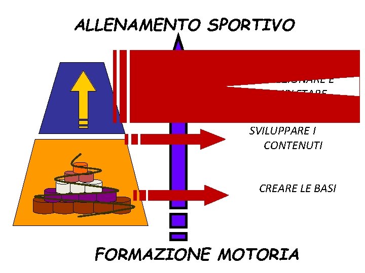 ALLENAMENTO SPORTIVO PERFEZIONARE E COMPLETARE SVILUPPARE I CONTENUTI CREARE LE BASI FORMAZIONE MOTORIA 