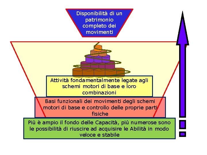 Disponibilità di un patrimonio completo dei movimenti Attività fondamentalmente legate agli schemi motori di