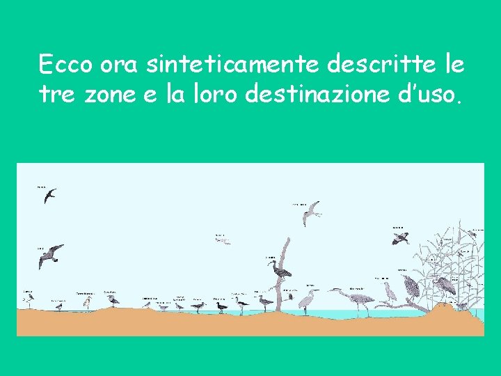 Ecco ora sinteticamente descritte le tre zone e la loro destinazione d’uso. 