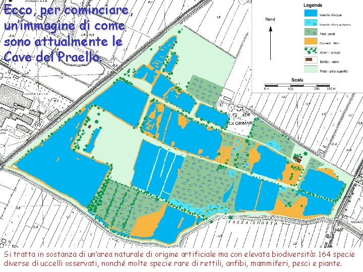 Ecco, per cominciare, un’immagine di come sono attualmente le Cave del Praello. Si tratta