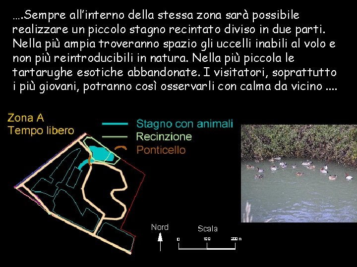 …. Sempre all’interno della stessa zona sarà possibile realizzare un piccolo stagno recintato diviso
