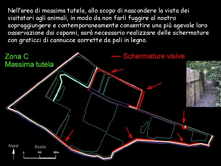 Nell’area di massima tutela, allo scopo di nascondere la vista dei visitatori agli animali,