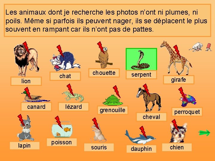 Les animaux dont je recherche les photos n’ont ni plumes, ni poils. Même si