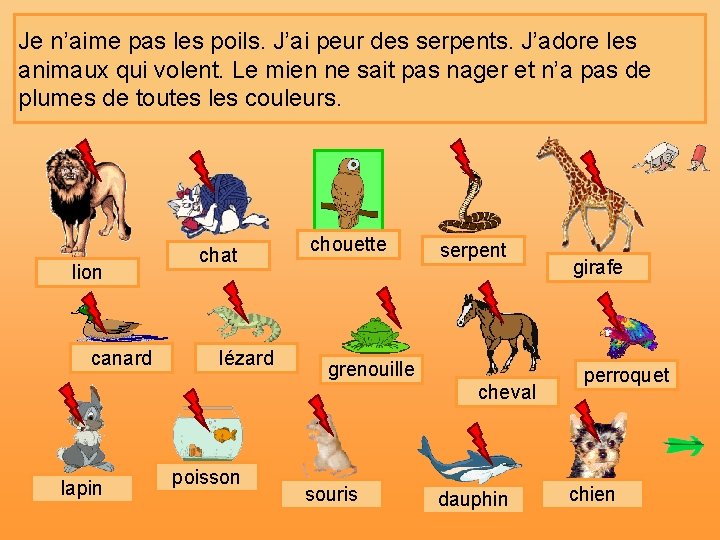 Je n’aime pas les poils. J’ai peur des serpents. J’adore les animaux qui volent.