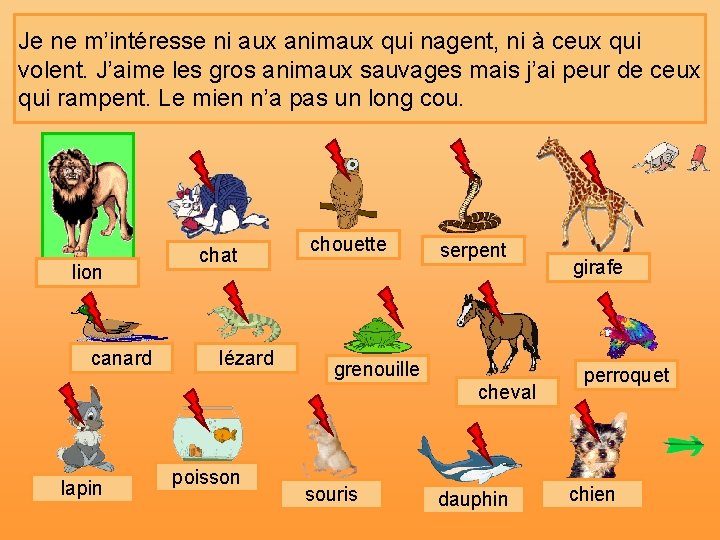 Je ne m’intéresse ni aux animaux qui nagent, ni à ceux qui volent. J’aime