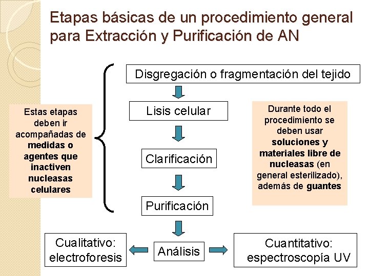 Etapas básicas de un procedimiento general para Extracción y Purificación de AN Disgregación o