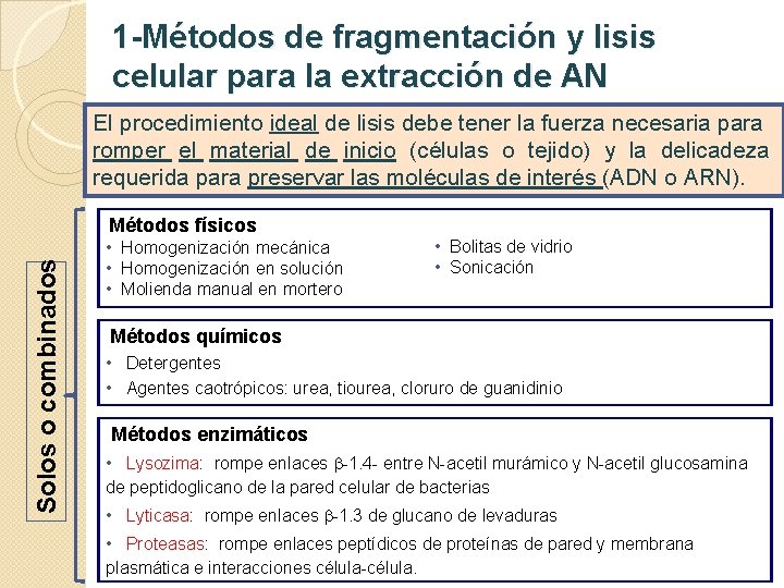 1 -Métodos de fragmentación y lisis celular para la extracción de AN El procedimiento