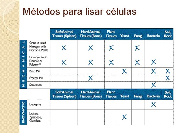 Métodos para lisar células 