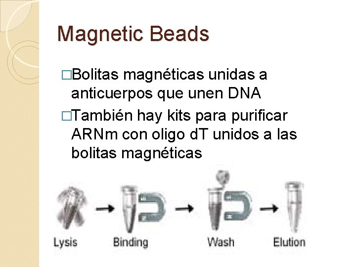 Magnetic Beads �Bolitas magnéticas unidas a anticuerpos que unen DNA �También hay kits para