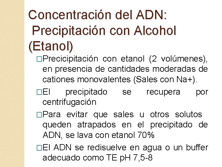 MTODOS DE EXTRACCIN Y PURIFICACIN DE CIDOS NUCLEICOS