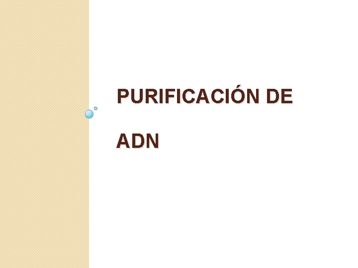 PURIFICACIÓN DE ADN 