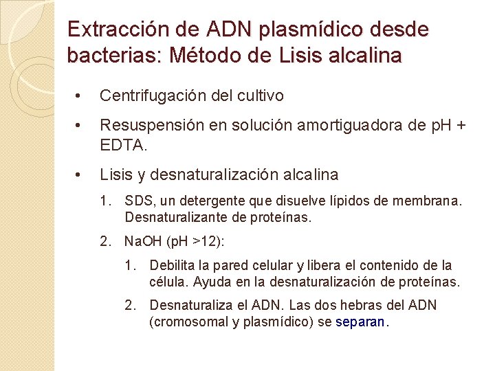 Extracción de ADN plasmídico desde bacterias: Método de Lisis alcalina • Centrifugación del cultivo