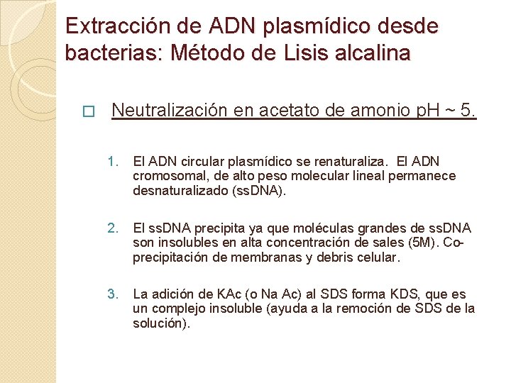 Extraccion De Dna Plasmidico Por Lisis Alcalina