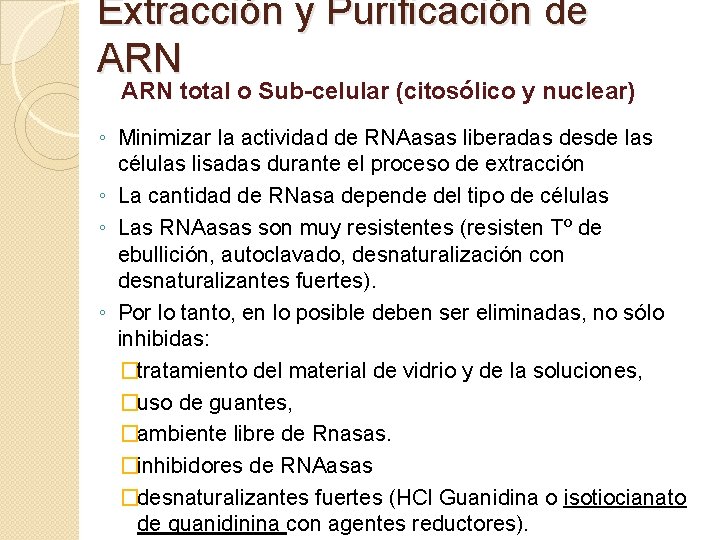 Extracción y Purificación de ARN total o Sub-celular (citosólico y nuclear) ◦ Minimizar la