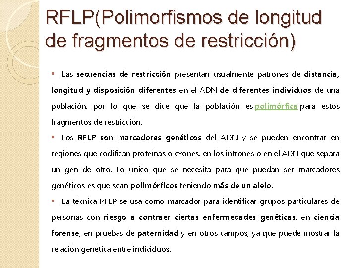 RFLP(Polimorfismos de longitud de fragmentos de restricción) • Las secuencias de restricción presentan usualmente