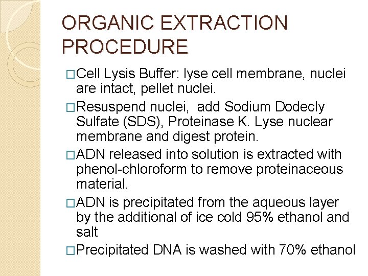 ORGANIC EXTRACTION PROCEDURE �Cell Lysis Buffer: lyse cell membrane, nuclei are intact, pellet nuclei.
