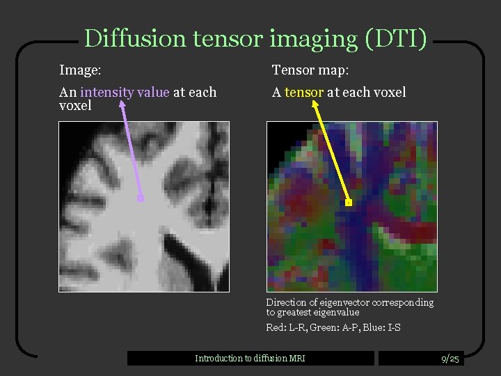 Diffusion tensor imaging (DTI) Image: Tensor map: An intensity value at each voxel A