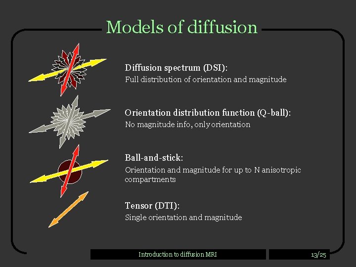 Models of diffusion Diffusion spectrum (DSI): Full distribution of orientation and magnitude Orientation distribution