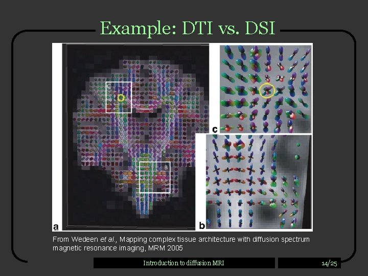 Example: DTI vs. DSI From Wedeen et al. , Mapping complex tissue architecture with