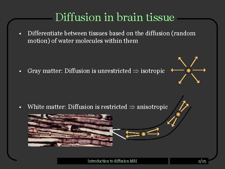 Diffusion in brain tissue • Differentiate between tissues based on the diffusion (random motion)