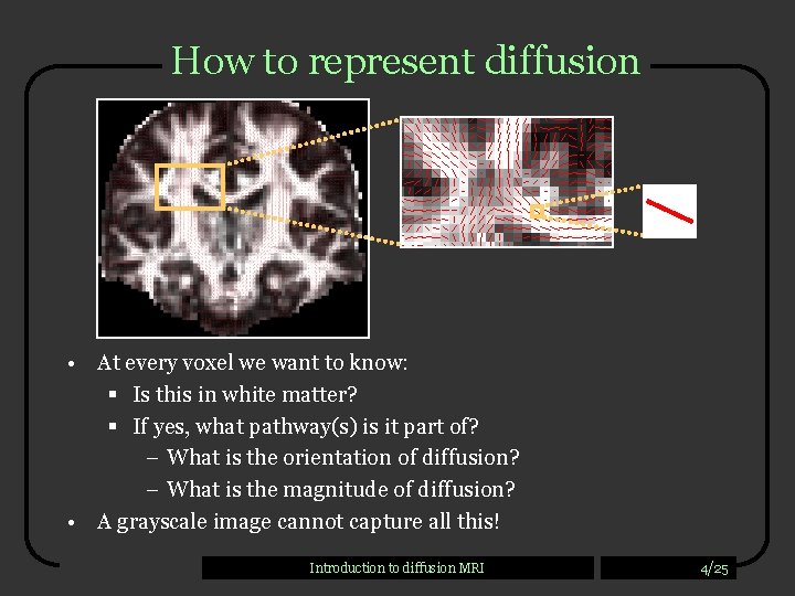 How to represent diffusion • At every voxel we want to know: § Is