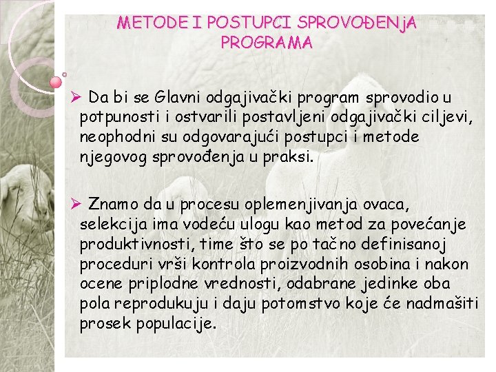 METODE I POSTUPCI SPROVOĐENj. A PROGRAMA Ø Da bi se Glavni odgajivački program sprovodio