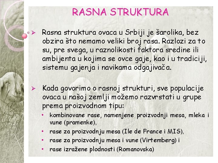RASNA STRUKTURA Ø Rasna struktura ovaca u Srbiji je šarolika, bez obzira što nemamo