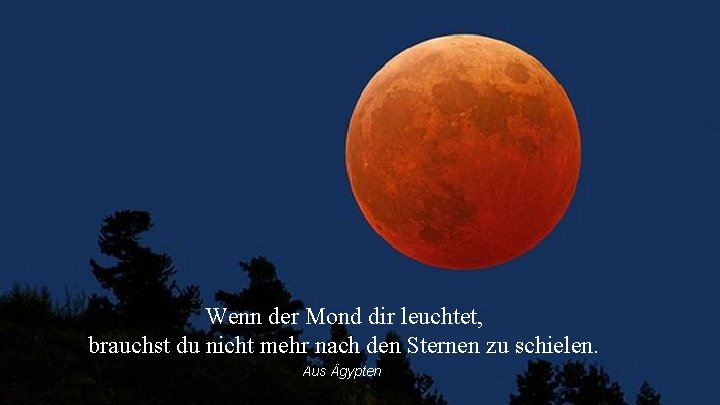 Wenn der Mond dir leuchtet, brauchst du nicht mehr nach den Sternen zu schielen. Wenn der Mond dir leuchtet, brauchst du nicht mehr nach den Sternen zu schielen.