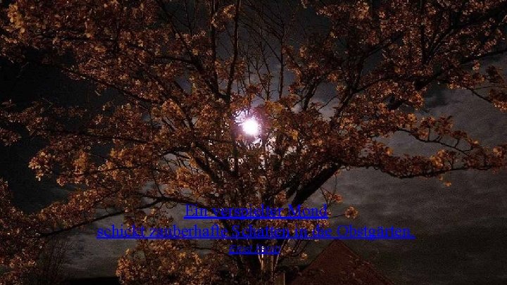 Ein verspielter Mond schickt zauberhafte Schatten in die Obstgärten. Ernst Ferstl Ein verspielter Mond schickt zauberhafte Schatten in die Obstgärten. Ernst Ferstl