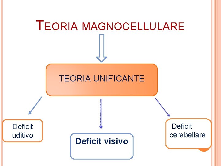 TEORIA MAGNOCELLULARE TEORIA UNIFICANTE Deficit uditivo Deficit visivo Deficit cerebellare 