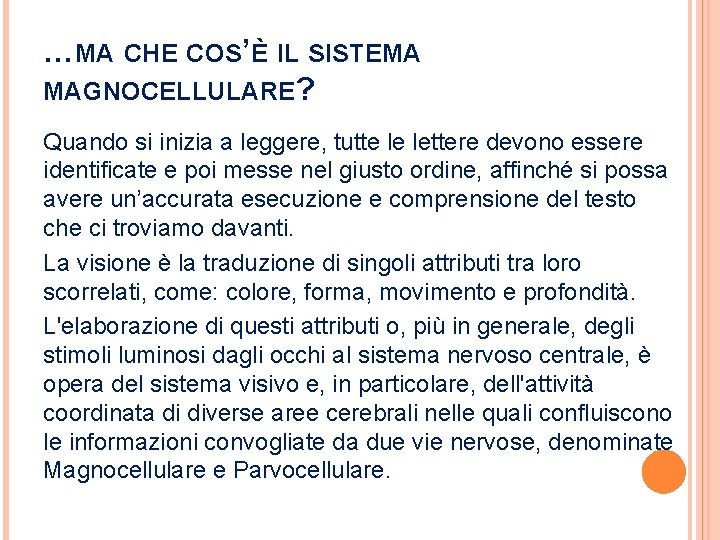 …MA CHE COS’È IL SISTEMA MAGNOCELLULARE? Quando si inizia a leggere, tutte le lettere