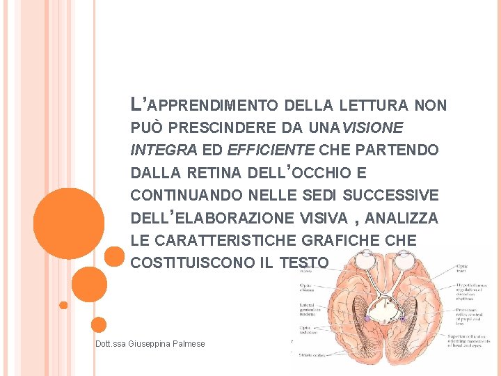 L’APPRENDIMENTO DELLA LETTURA NON PUÒ PRESCINDERE DA UNA VISIONE INTEGRA ED EFFICIENTE CHE PARTENDO