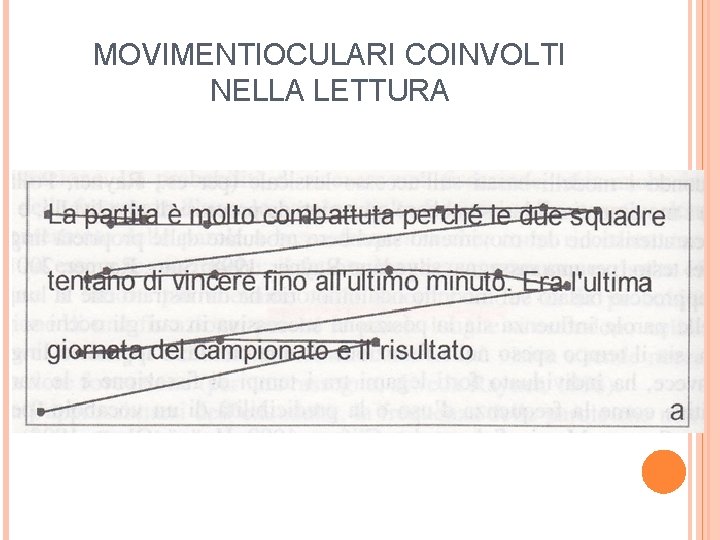 MOVIMENTIOCULARI COINVOLTI NELLA LETTURA 