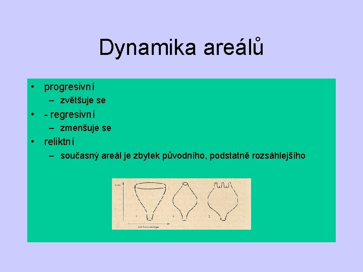 Dynamika areálů • progresivní – zvětšuje se • - regresivní – zmenšuje se •