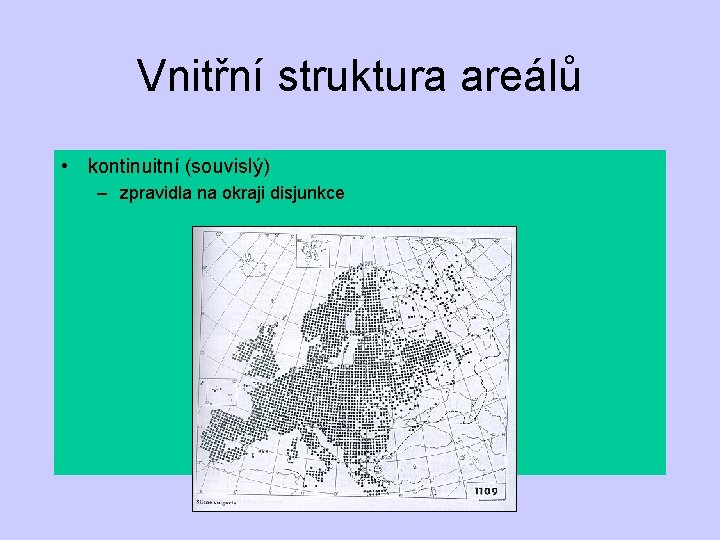 Vnitřní struktura areálů • kontinuitní (souvislý) – zpravidla na okraji disjunkce 