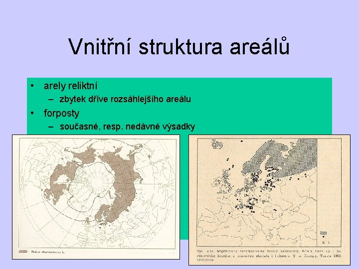 Vnitřní struktura areálů • arely reliktní – zbytek dříve rozsáhlejšího areálu • forposty –