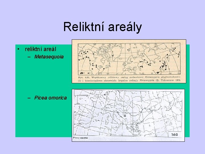 Reliktní areály • reliktní areál – Metasequoia – Picea omorica 