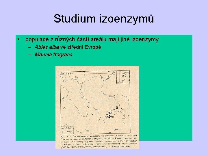 Studium izoenzymů • populace z různých částí areálu mají jiné izoenzymy – Abies alba