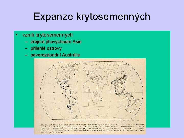 Expanze krytosemenných • vznik krytosemenných – zřejmě jihovýchodní Asie – přilehlé ostrovy – severozápadní