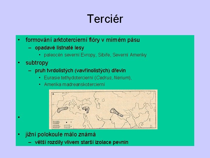 Terciér • formování arktotercierní flóry v mírném pásu – opadavé listnaté lesy • paleocén