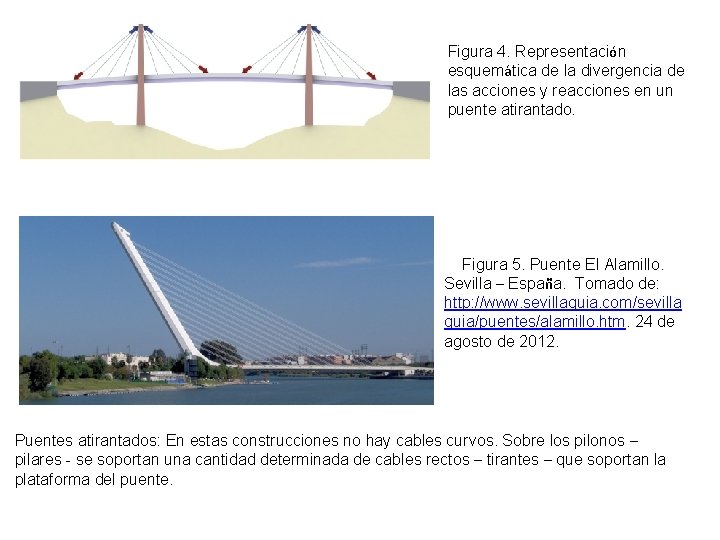 Figura 4. Representación esquemática de la divergencia de las acciones y reacciones en un