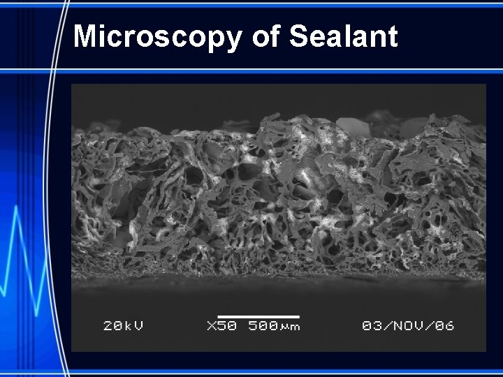 Microscopy of Sealant 