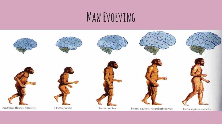 Man Evolving 