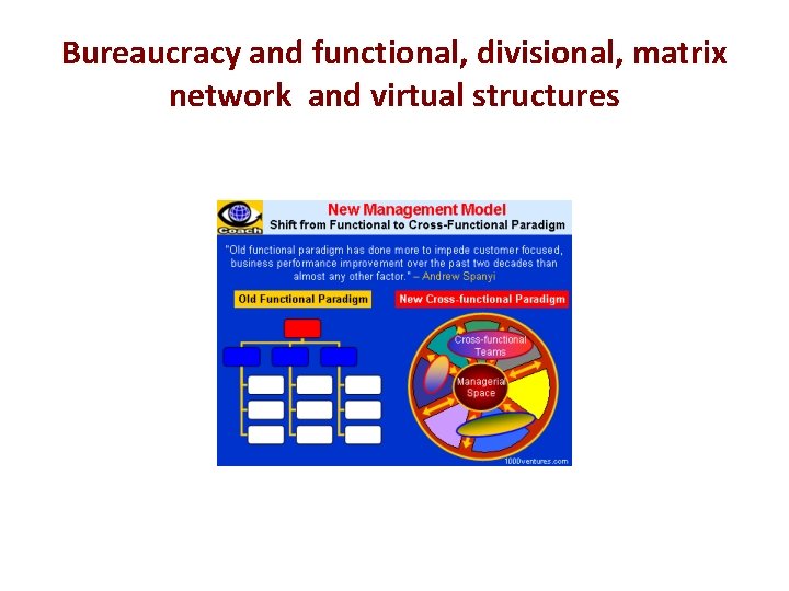 Bureaucracy and functional, divisional, matrix network and virtual structures 