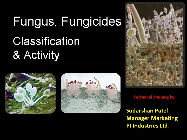 Fungus, Fungicides Classification & Activity Technical Training by: Sudarshan Patel Manager Marketing PI Industries